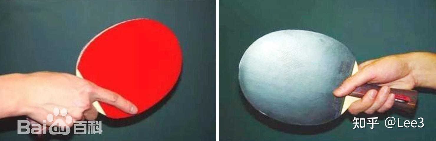 乒乓球知识全览:从基础到进阶,一文读懂 - 知乎