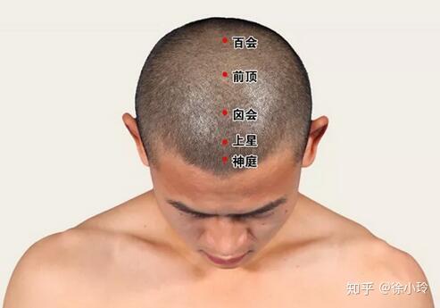百会、人中、风池、迎香……这些穴位的名称到底因何而来?? - 知乎
