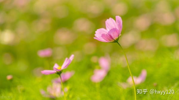 二级精神病标准 二级精神病啥表现 精神残疾二级领多少钱