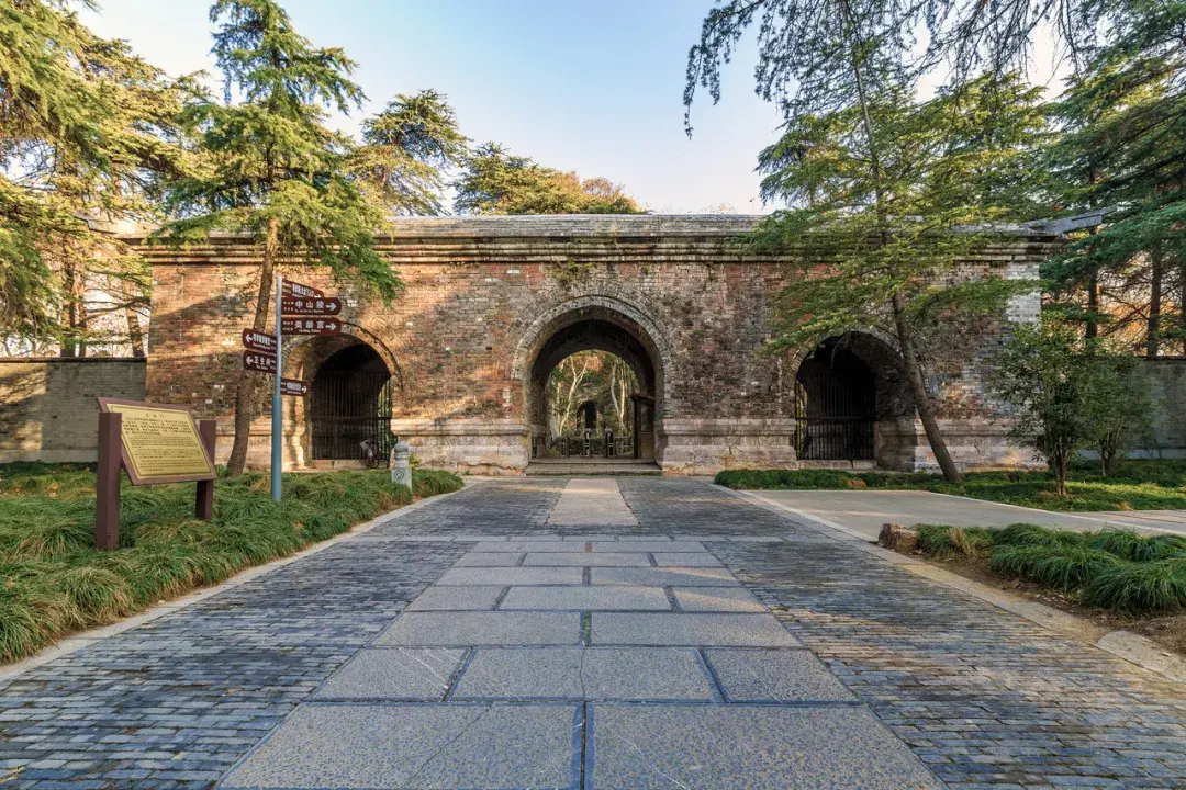 天寒地冻的二月,只有它悄然开放,这场梅花绽放的盛会不容错过 - 知乎