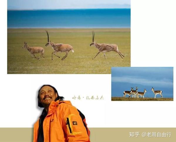 探寻