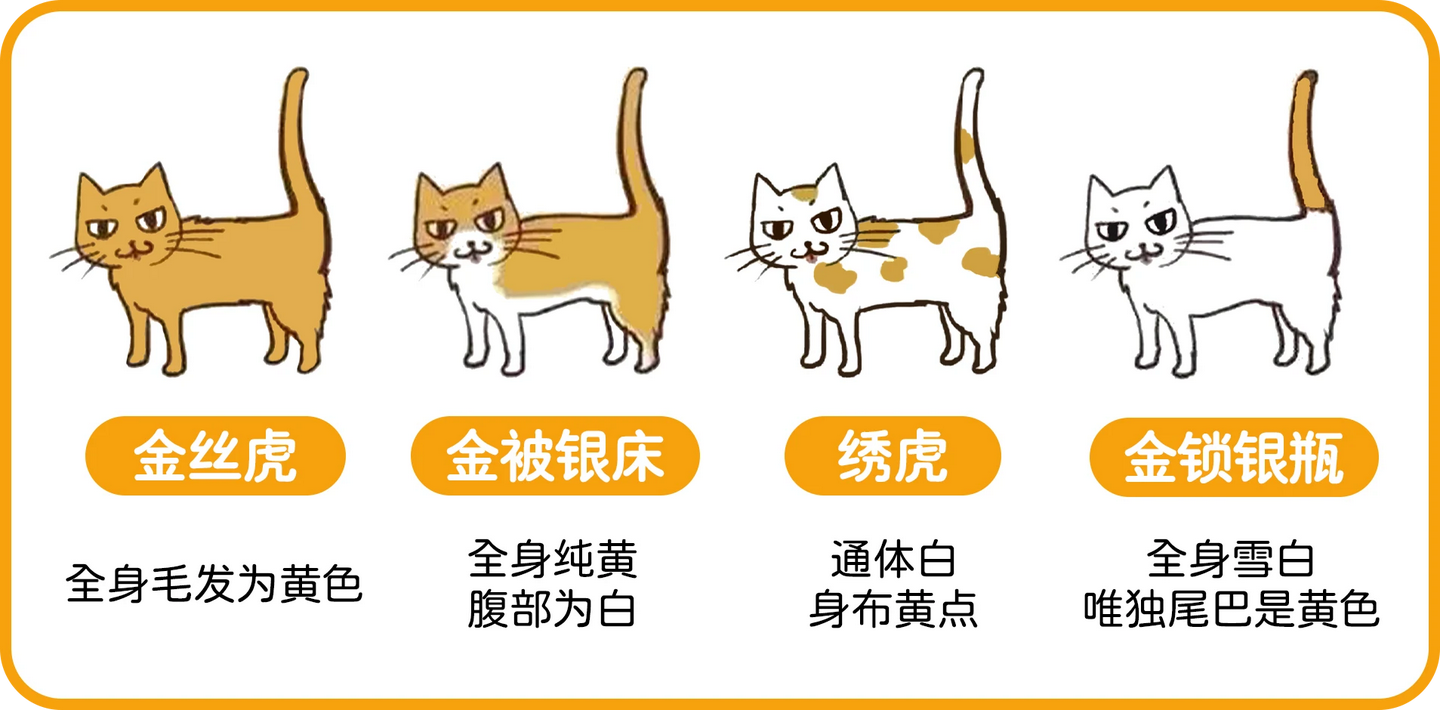 橘猫科普|橘猫世界大揭秘 - 知乎