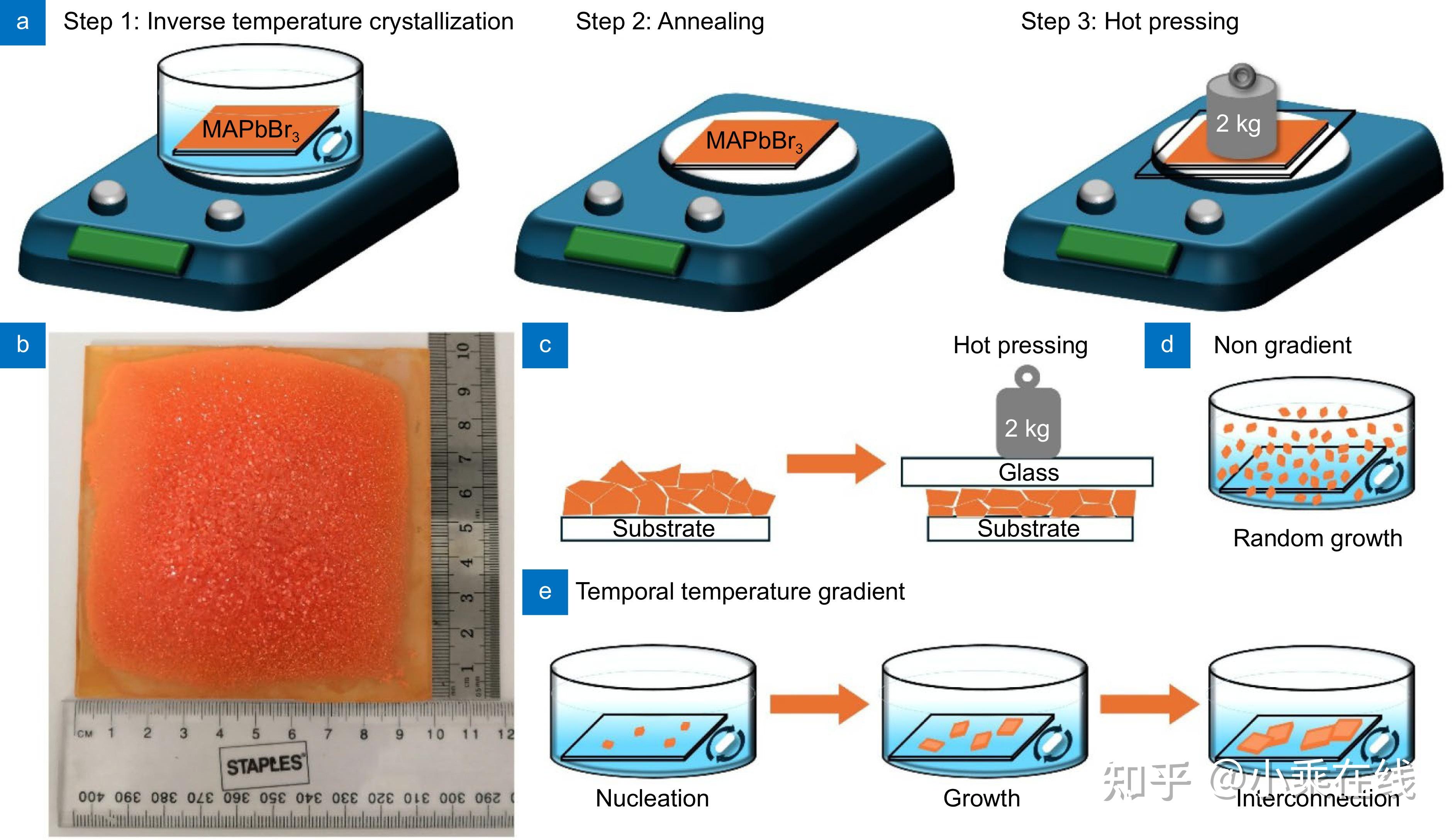 Highly textured single-crystal-like perovskite films for large-area ...