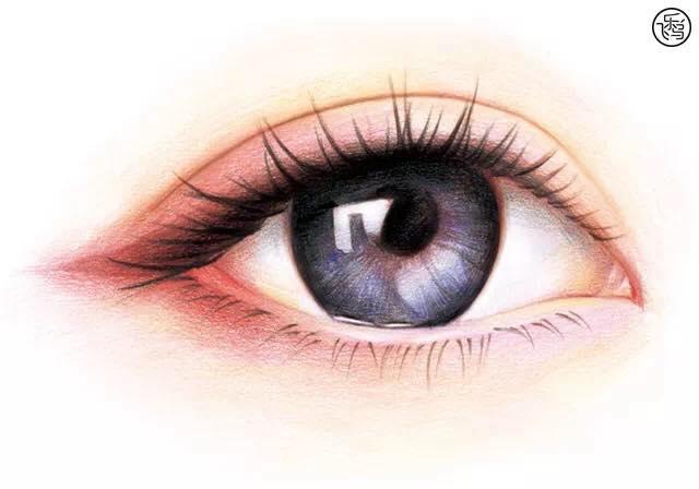 怎样用彩铅画出逼真的眼睛