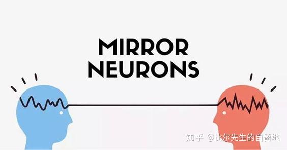 魔镜的魔性-镜像疗法(mirror therapy) - 知乎