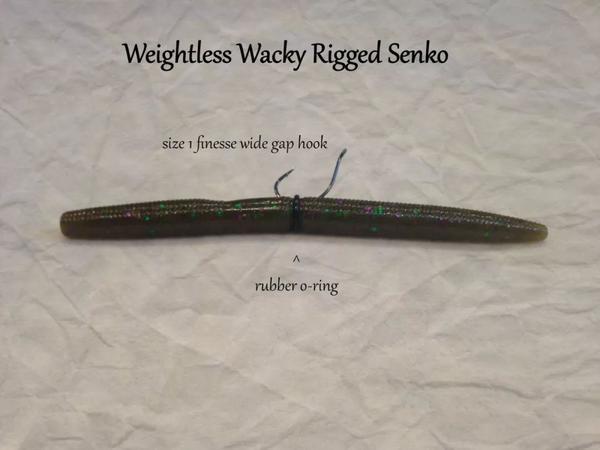 wacky 钩法钩的 senko. 图片来自:kraken bass