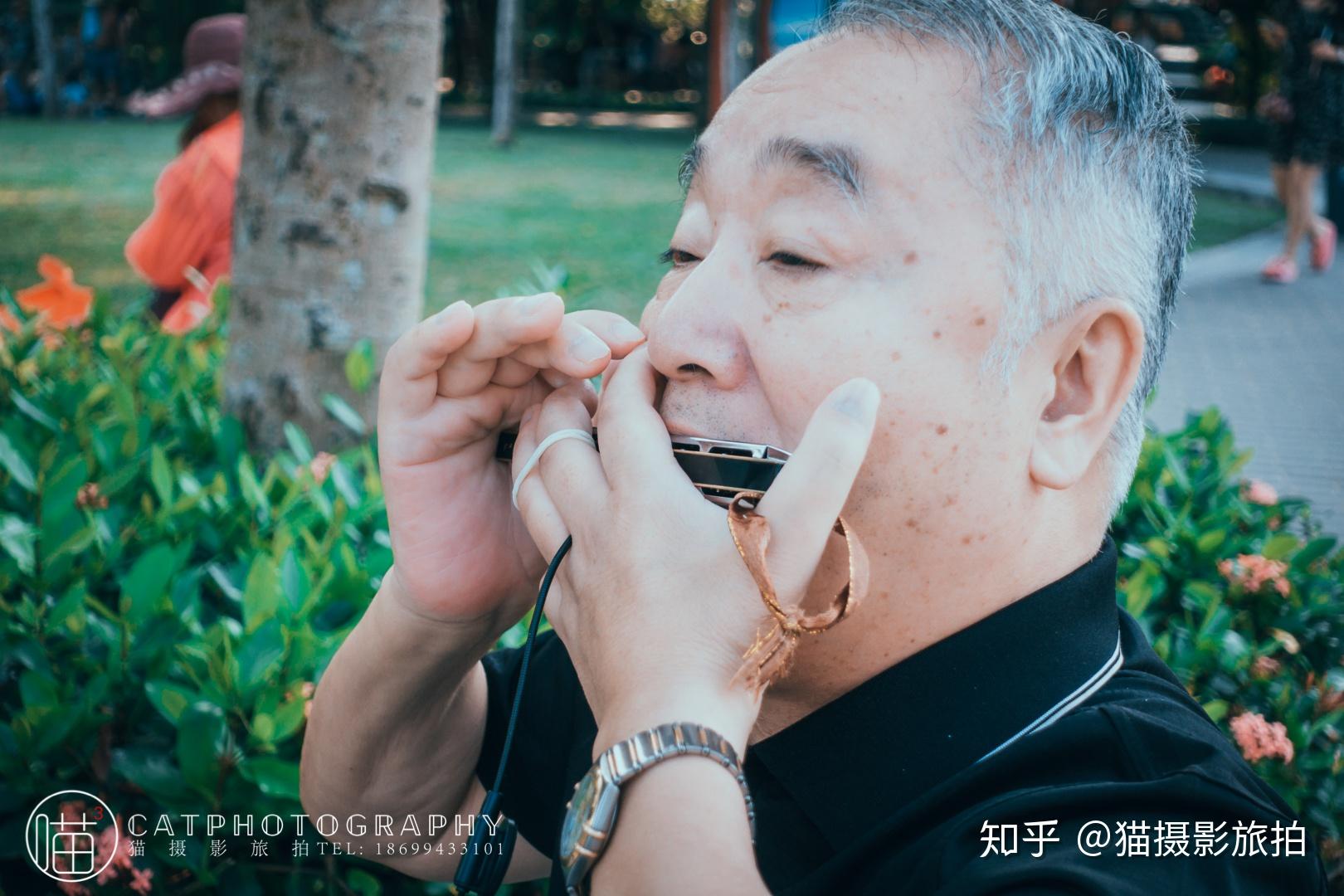 猫摄影┨吹口琴的人老人