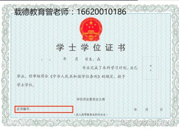 学位证书编号查询(学位证书编号查询官网)