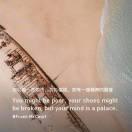一只蝴蝶扇了扇翅膀——Mate 80事件第二篇