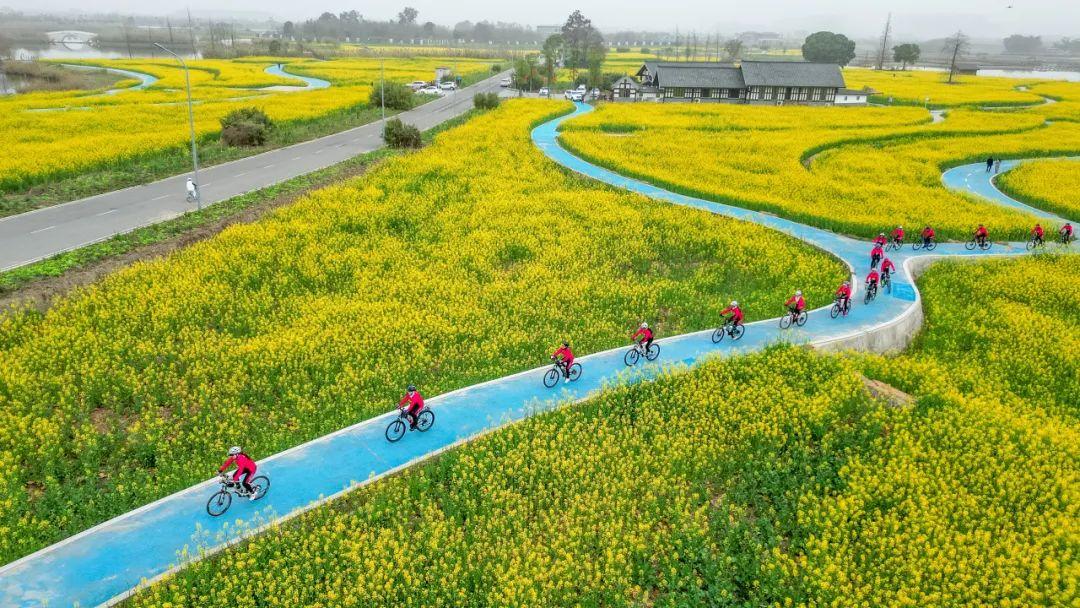 花开眉山意正浓!送你春日之美~ - 知乎
