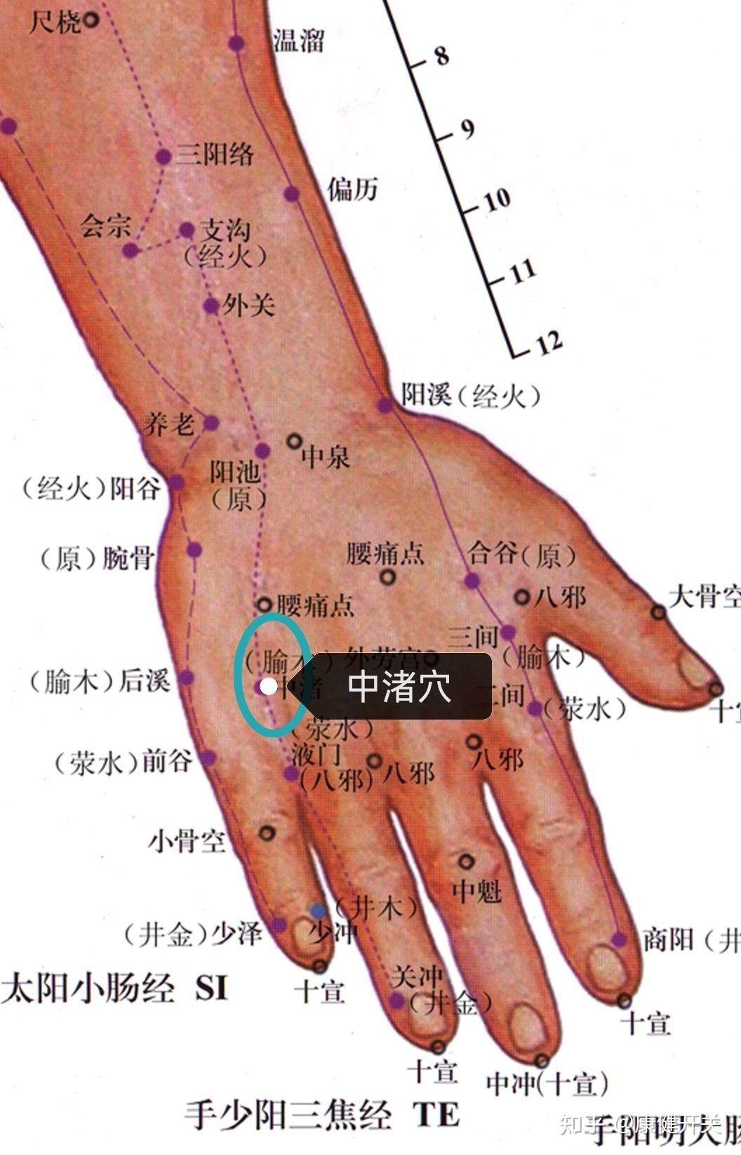 颞颌关节炎艾灸位置图图片