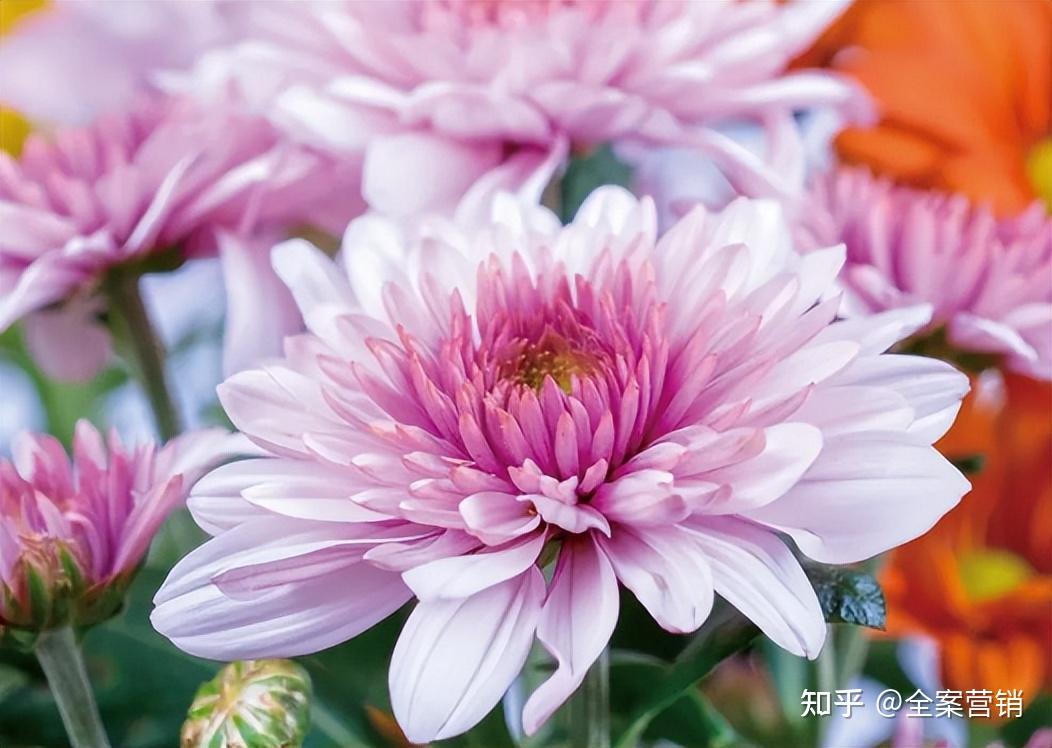 争创天府旅游名县|再见2022,细数那些时光里的小美好