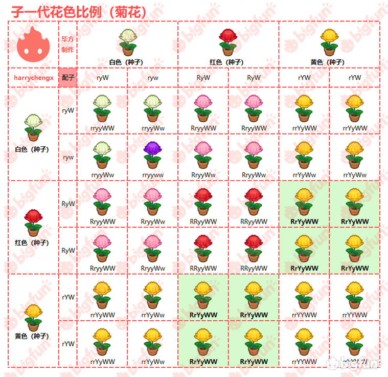 【郁金香花种】有白红黄三种,可杂交出粉,橙,黑,紫四种异色.