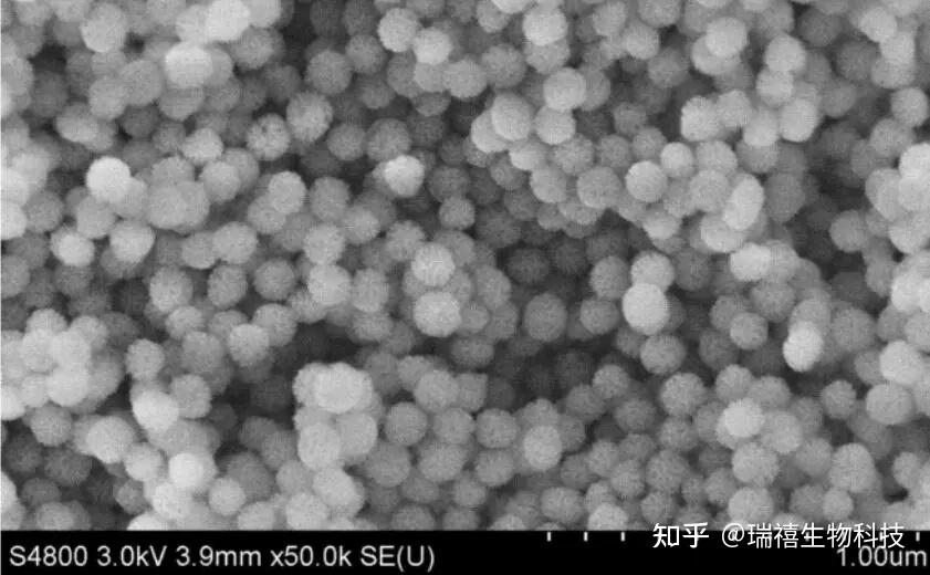 银包覆二氧化硅复合微球粒子Ag-SiO2 NPs/介孔二氧化硅包裹超顺磁性Fe3O4纳米颗粒应用研究 - 知乎