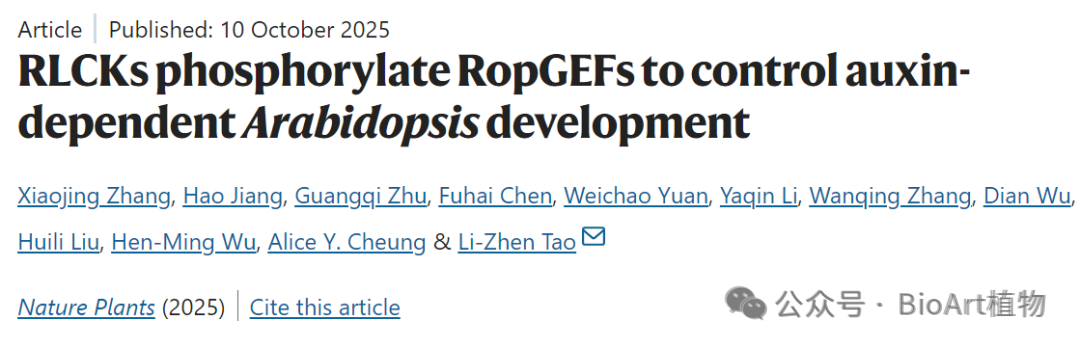 Nature Plants | 华南农业大学陶利珍团队揭示胞质类受体激酶RAKs介导RopGEF蛋白磷酸化调控植物发育的新机制 - 知乎