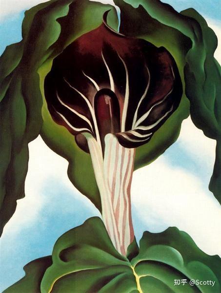 艺术推荐day107：Georgia O'Keeffe