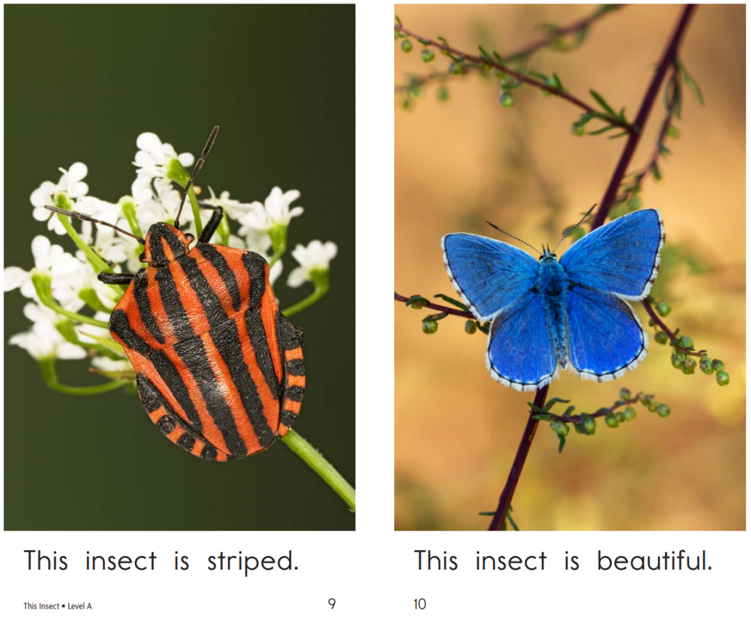 RAZ aa到C级别应该怎么刷,技术分析贴来了! - 知乎