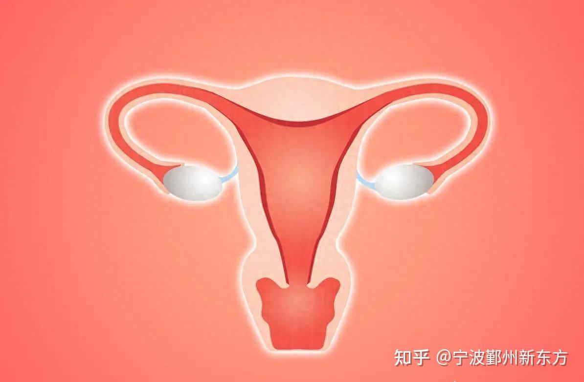 女，39岁，宫颈糜烂，接触性出血 - 乳腺和女性生殖系统 - 91360病理论坛