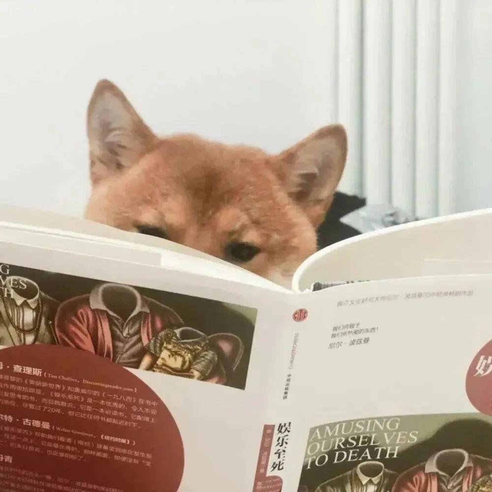 苏文风