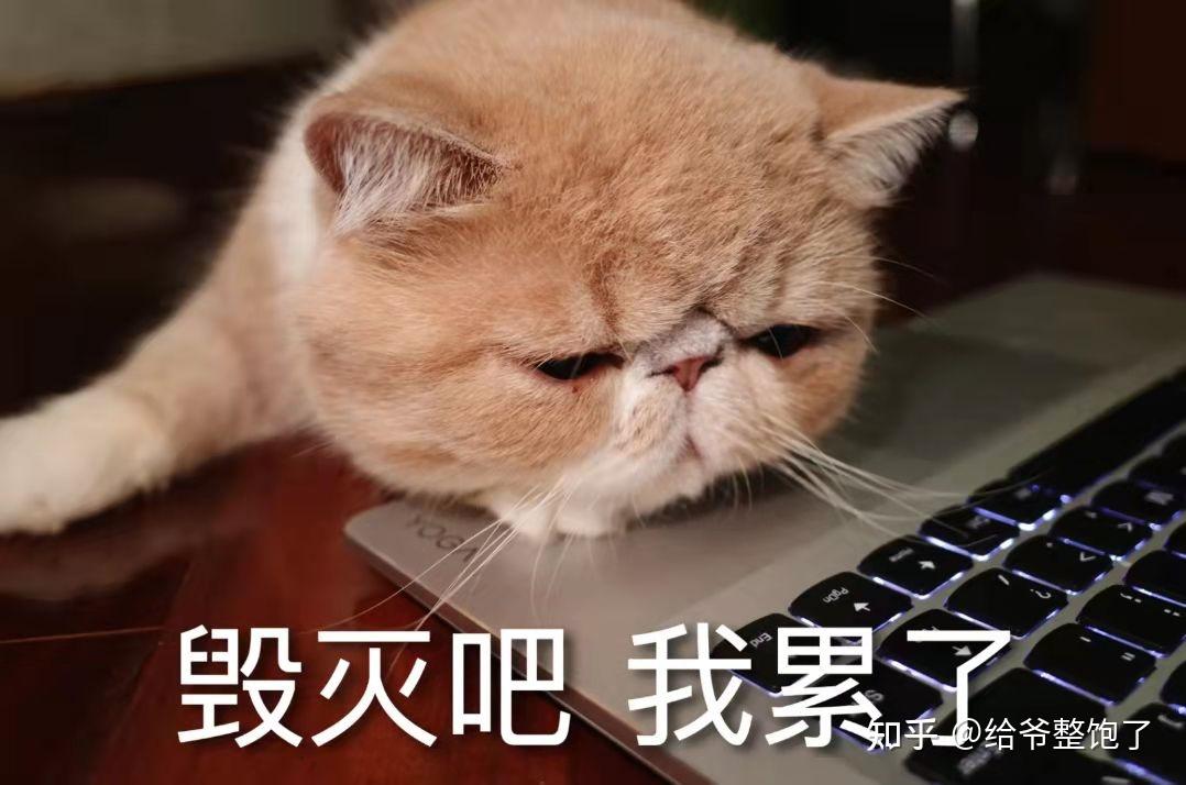 工作中感觉精力不足,压力很大该怎么办? - 知乎