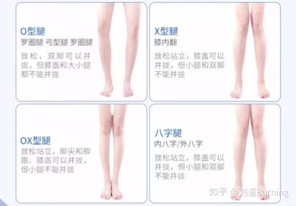 大长腿必看8招 如何拥有大长腿 超全走心分享 知乎