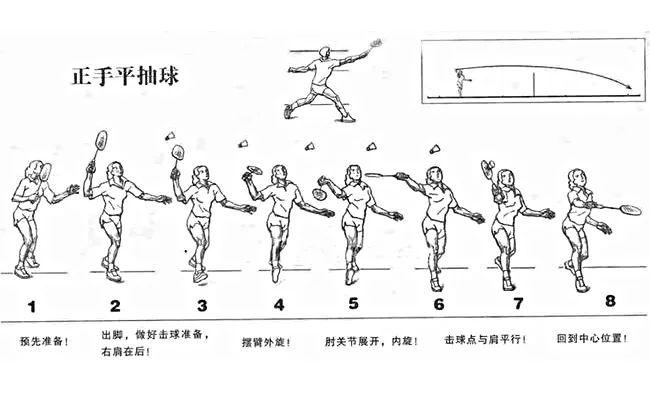 国羽小课堂跟着郑思维练习平抽挡双打水平涨涨涨