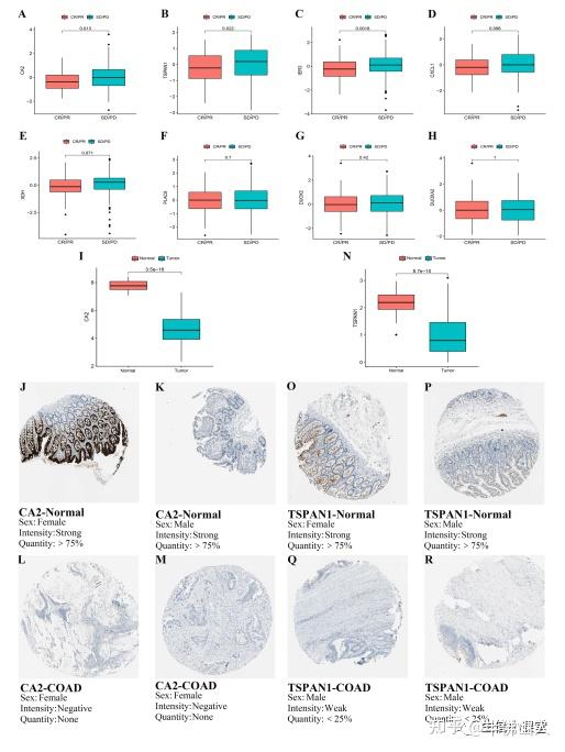 最新7分纯生信 坐稳了，我们继续肿瘤分型！ - 知乎