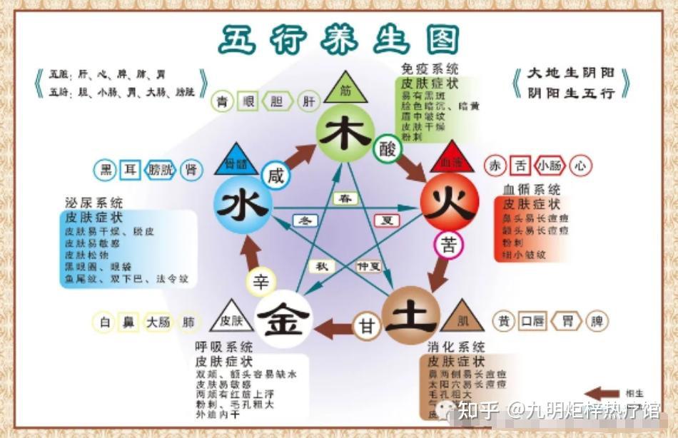 中医五行与人体五脏的关系(建议收藏) - 知乎