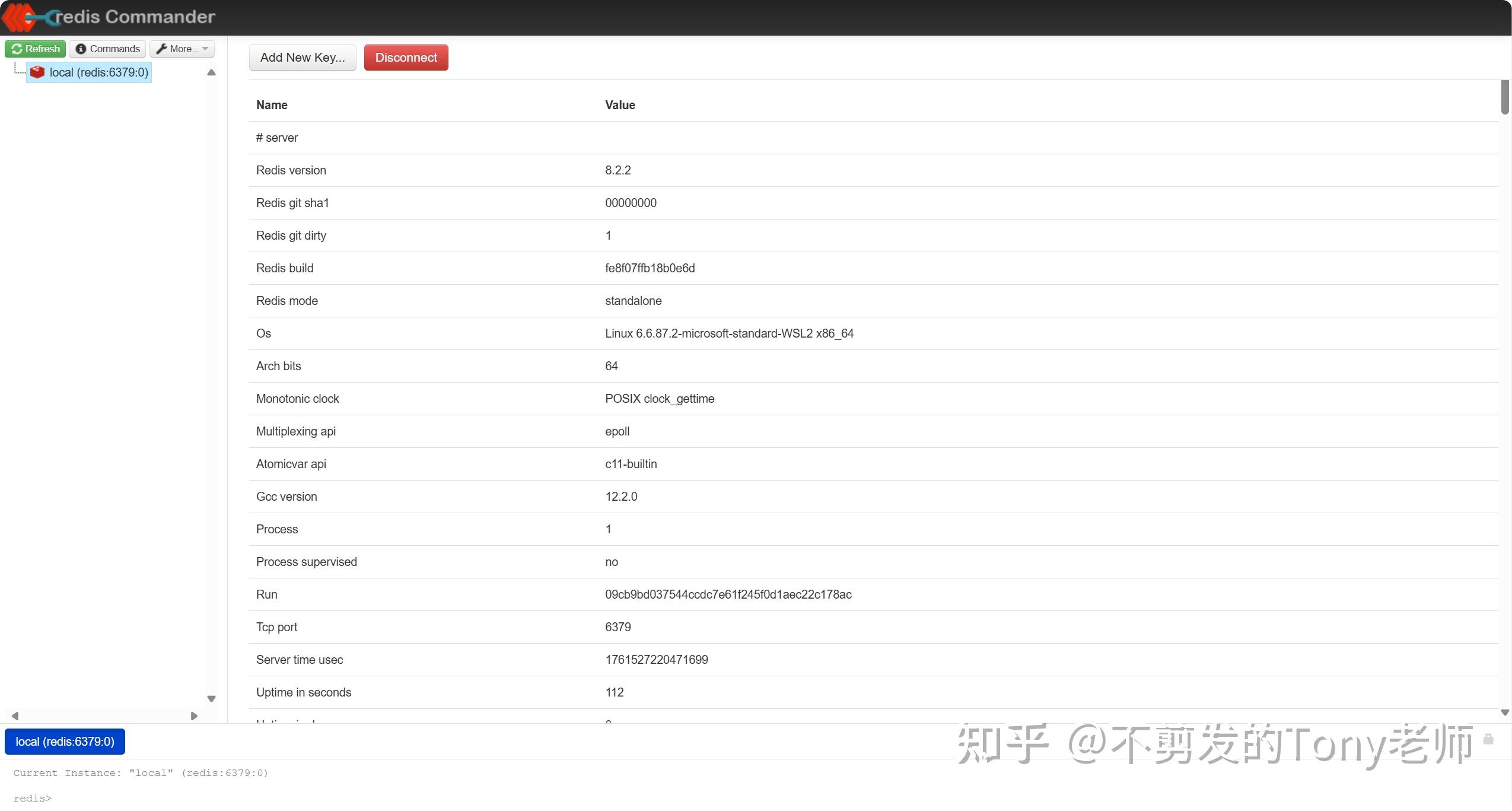 Redis Commander:一款基于Web、免费开源的Redis管理工具 - 知乎