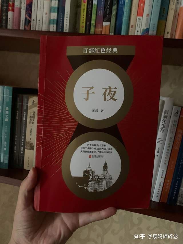茅盾的《子夜》写得怎么样？