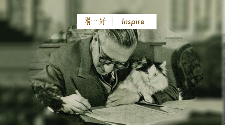 爱猫的男孩纸 文笔不会太差 八一八那些文豪中的猫奴 知乎 爱猫的男孩纸 文笔不会太差 八一八那些文豪中的猫奴 知乎