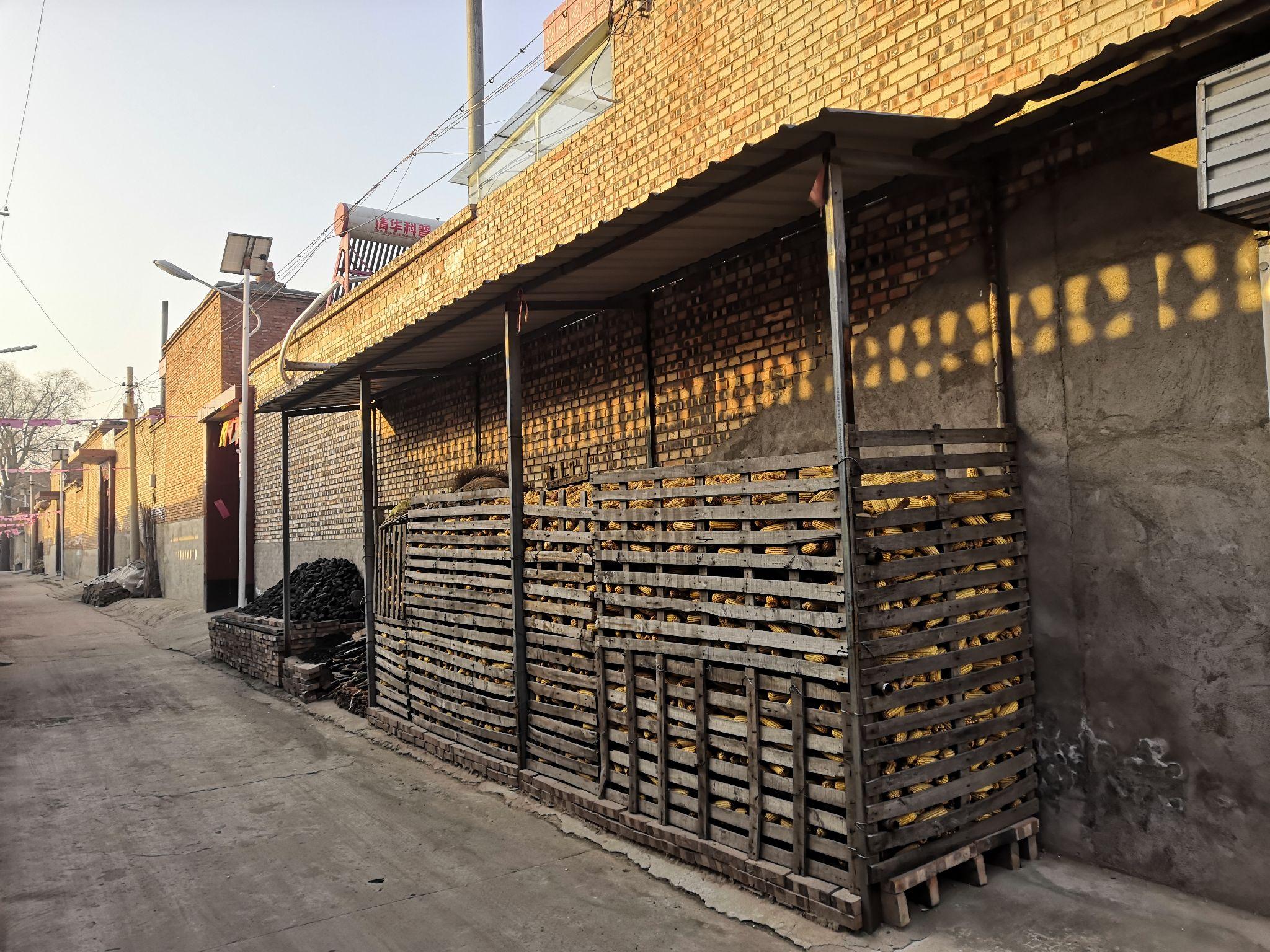 祁县农村玉米笼组图合集大全越失败越有趣