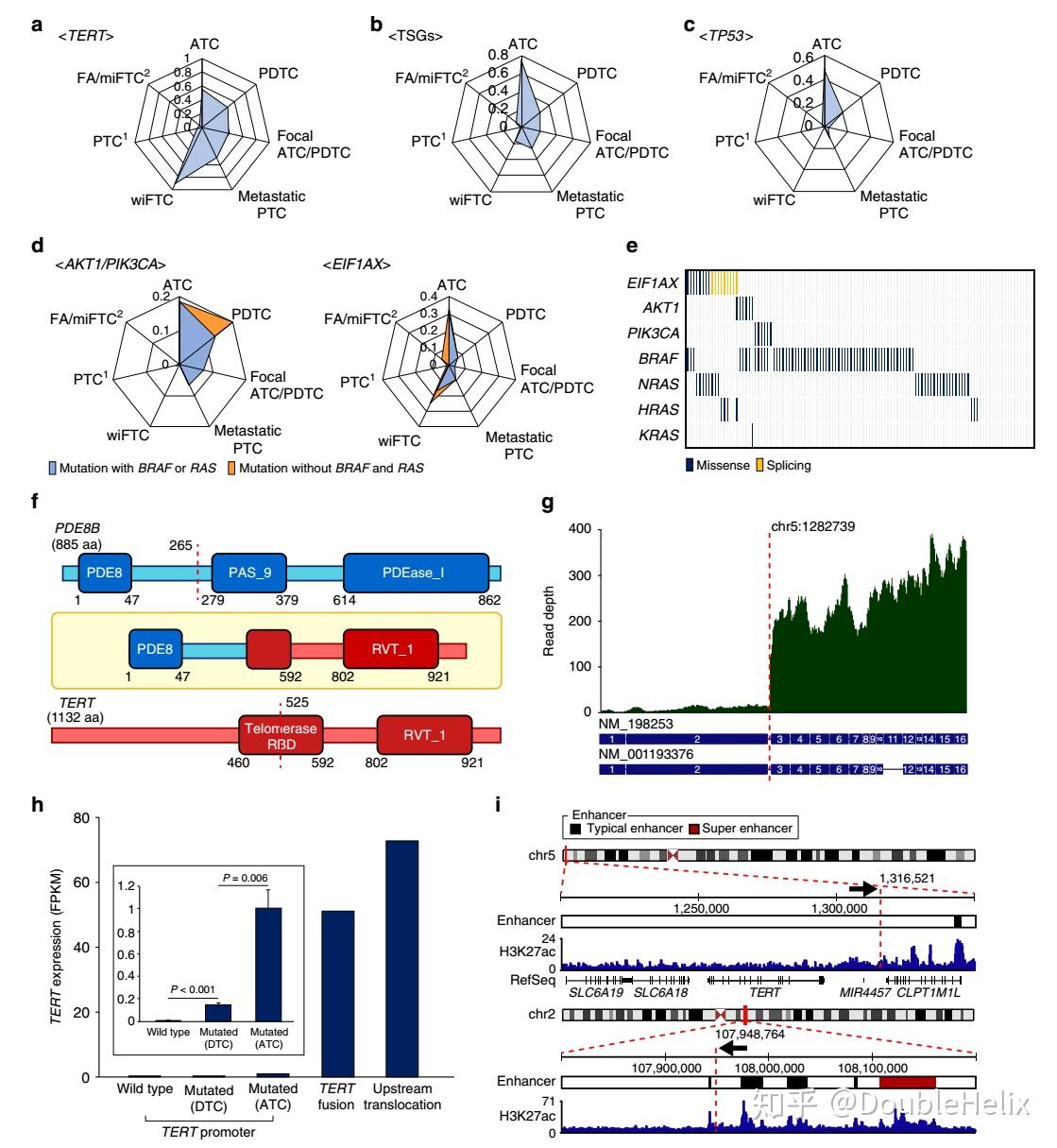 医学生物信息学文献第7期与侵袭性甲状腺癌进展相关的基因组和转录组