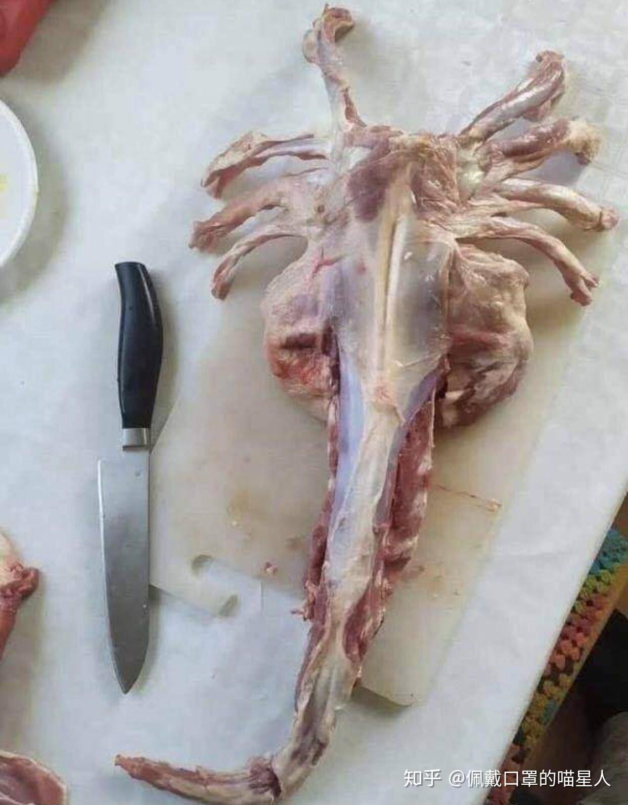 羊蝎子最常见的三种做法在家也能简单做