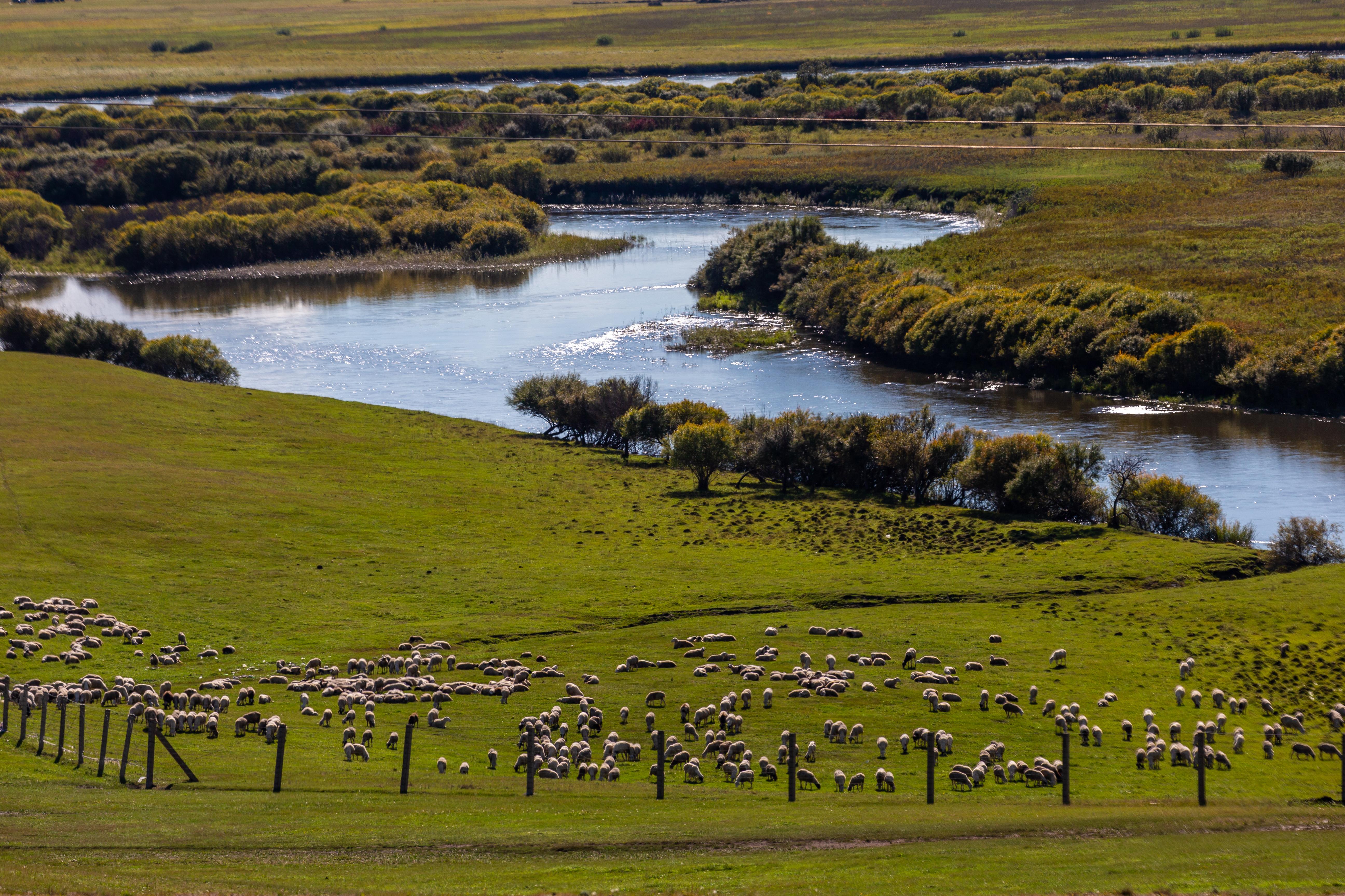 中国最美的草原——呼伦贝尔大草原老舍笔下天下第一曲水——莫日格勒