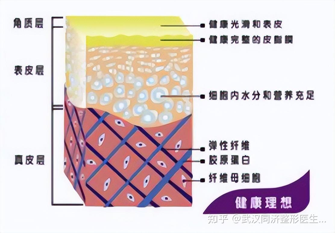 舒敏之星究竟是什么?它可以解决哪些皮肤问题? - 知乎