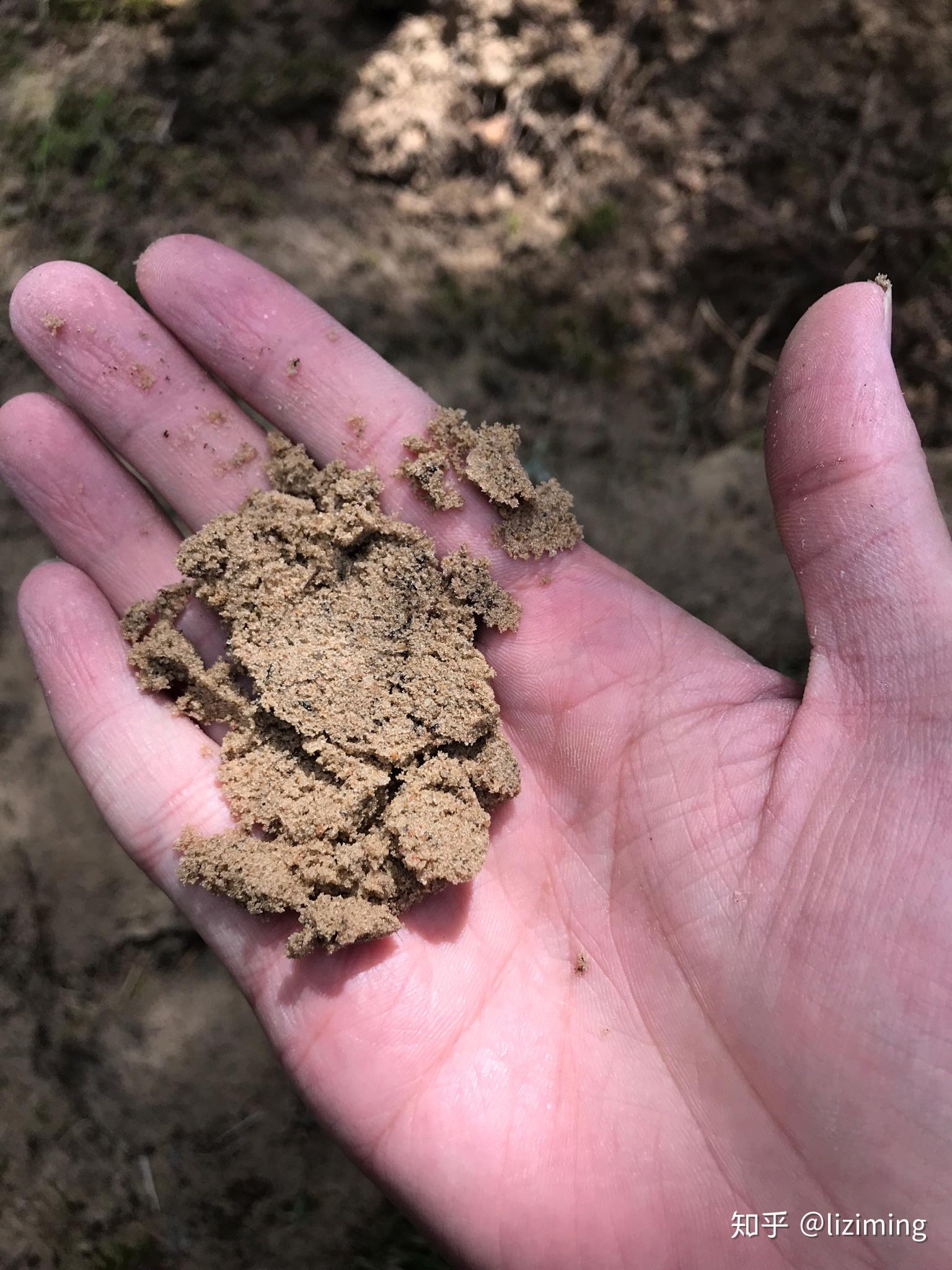 摸起来也是砂土,但是水分含量很高深度40cm深度70cm90cm深度为了采集