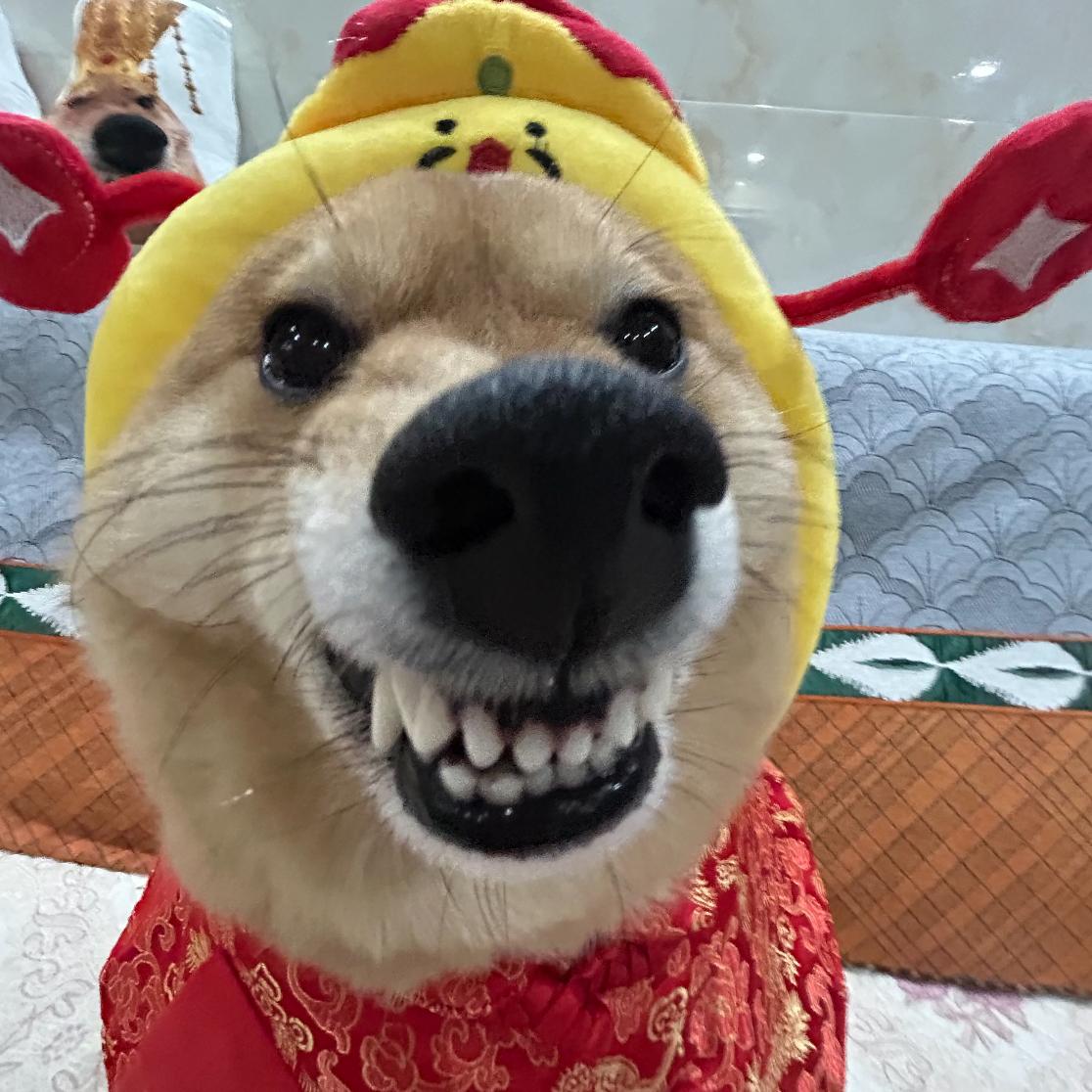 冬风不是东风