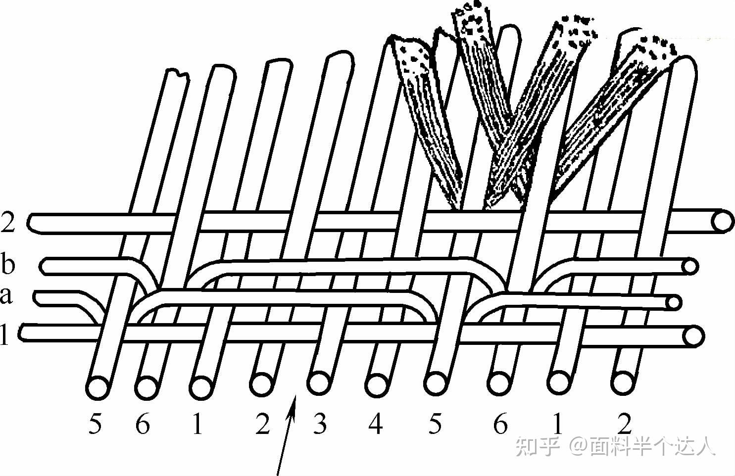 梭织灯芯绒织物结构及其分类