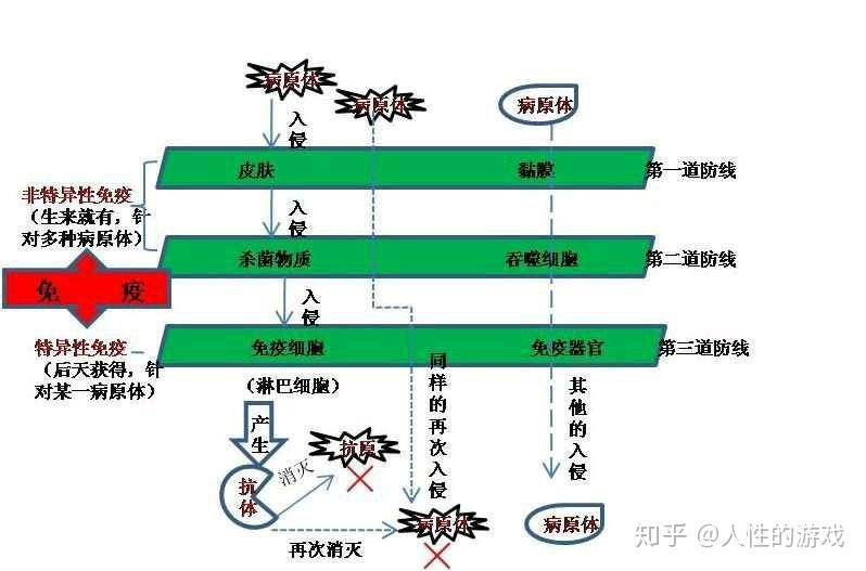 空气传染粪口传染甲型肝炎轮状病毒脱水已开发国家
