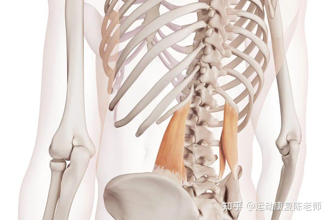 呼吸方式不对也会导致肩颈疼痛