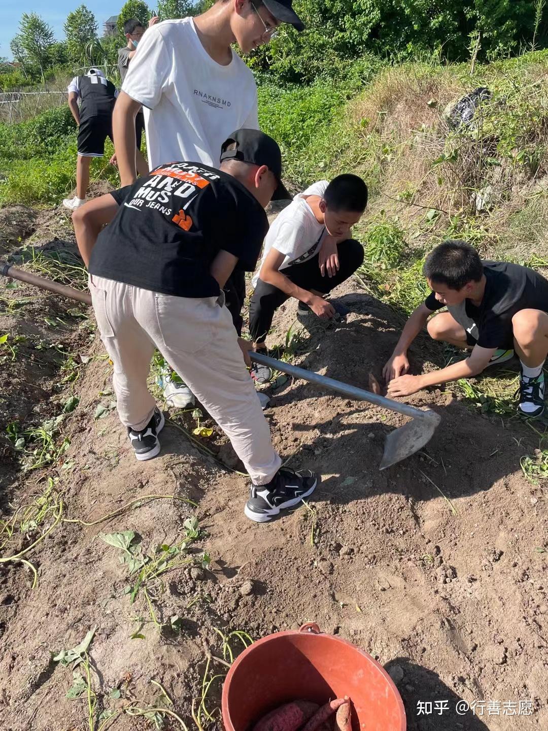 开展中学生学农教育实践活动让学生在劳动中体验人生