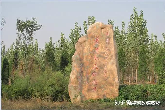 美丽而富有文化黄河故道——河南省商丘市民权县 - 知乎