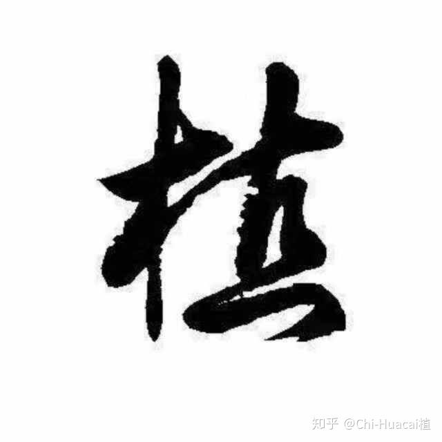 姓植的兄弟姐妹你们听过吗