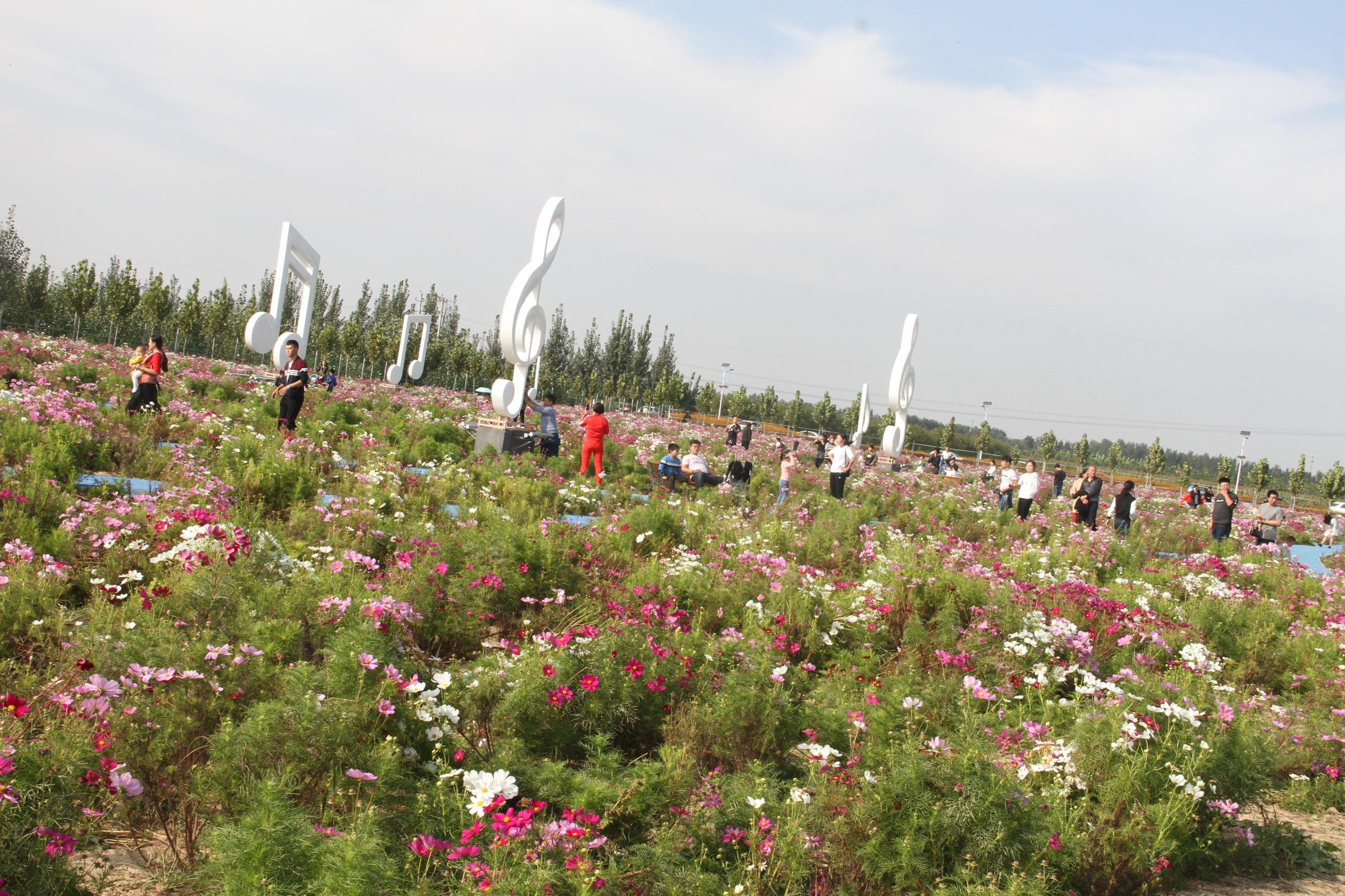 位于沧州市景和镇丰尔庄村兴丰农场"丰尔庄园"内有训犬基地,不止有