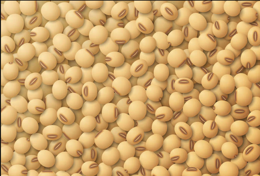 人気ダウンロード 大豆花色7115 大豆花色 Pictngamukjpxjol