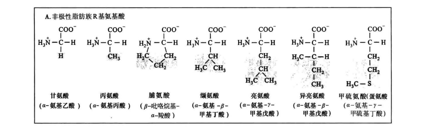 生物化学_第 2 章 氨基酸、肽和蛋白质 (1 & 2) - 知乎