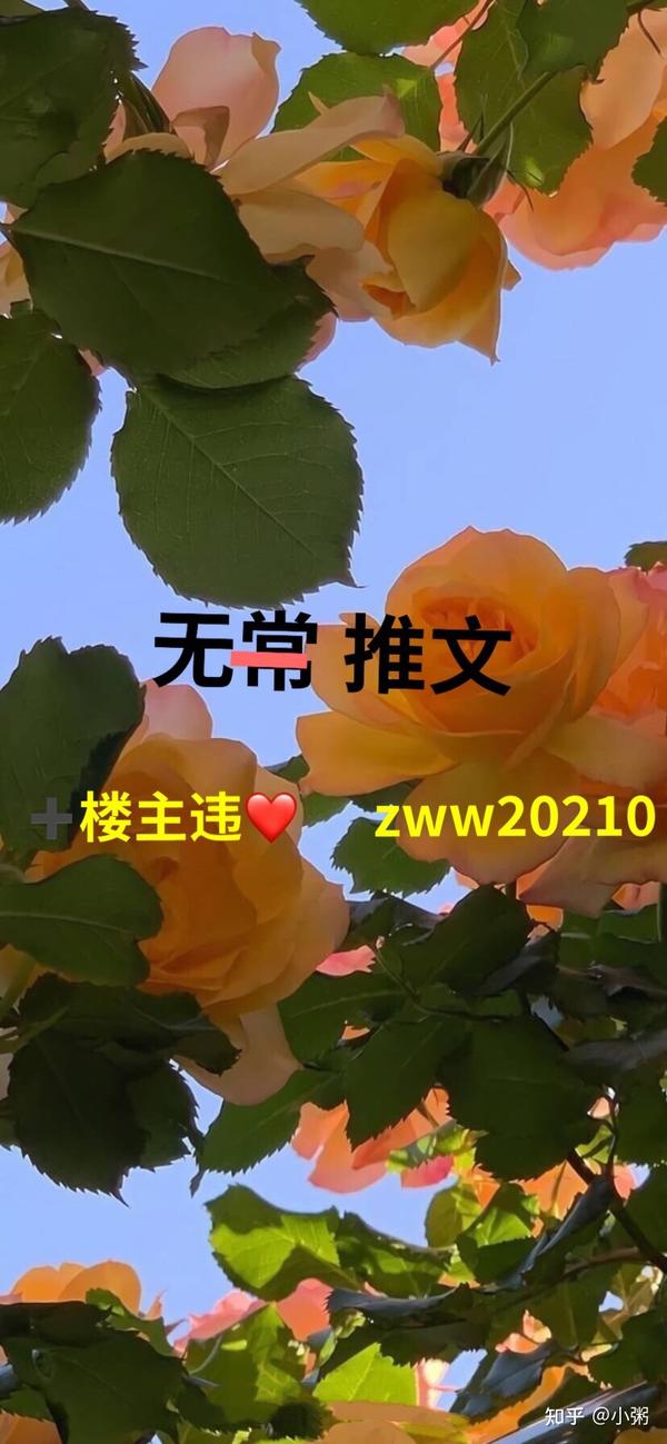 《悉尼往事》by黄金矿工双人版 全文未删减完结番外txt