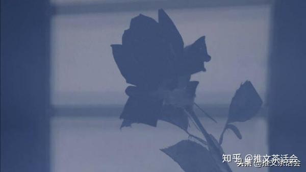 推文茶话会 鱼小姐的初恋日记 等从头甜到尾快张嘴 吃糖了 知乎