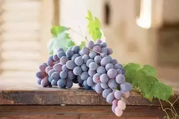 7 Day Fruit Diet Grapes